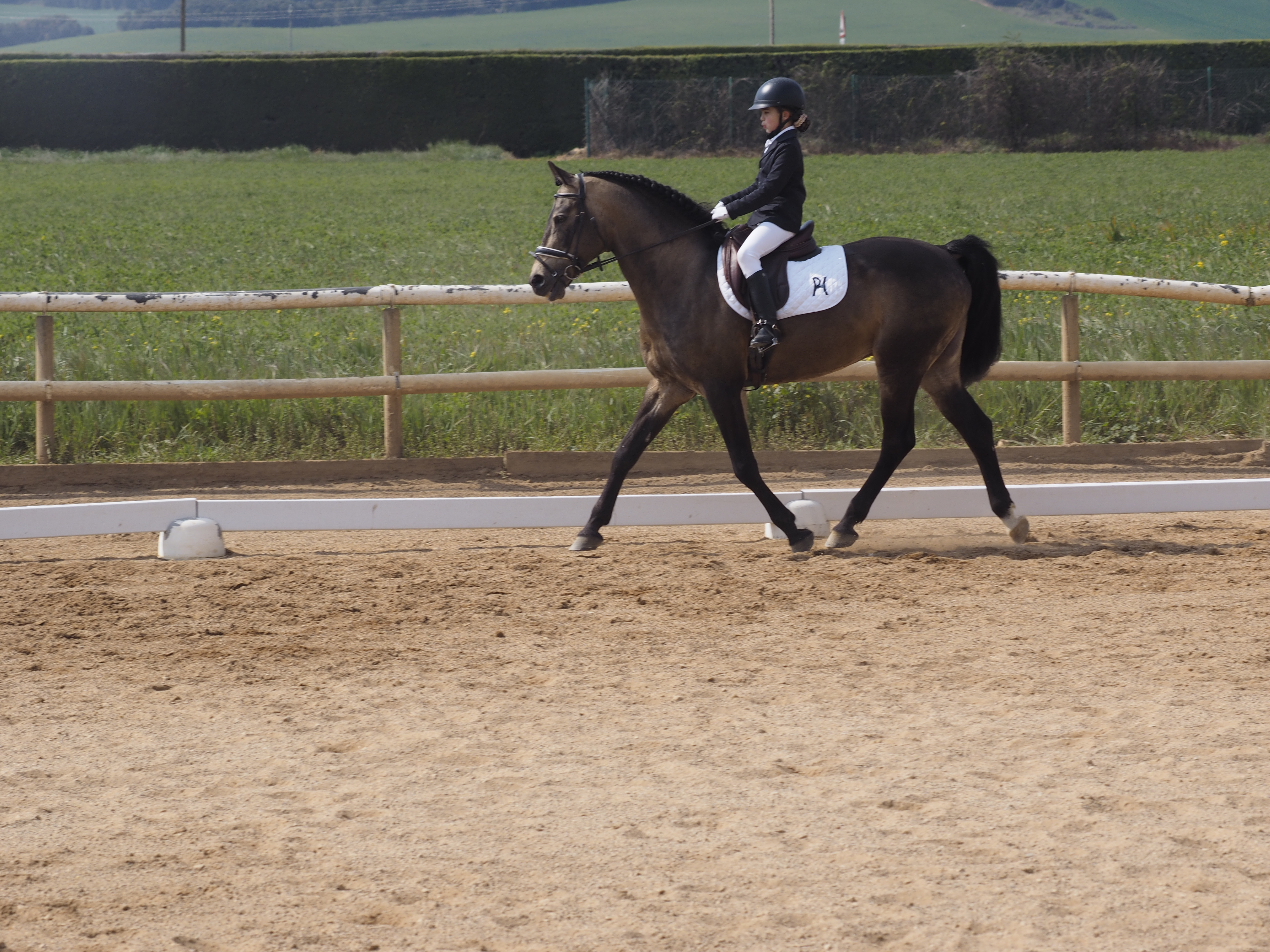 Más fotos de la Primera Fase de Doma Clásica en Acedo